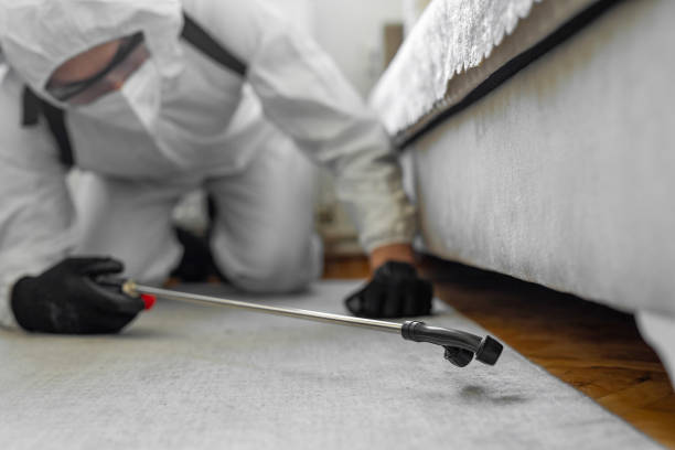 Professional Bed Bug Control technician working in New Market, AL