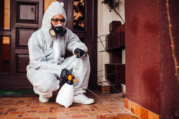 Reliable Bed Bug Control contractor in New Market, AL by Nex Pest Control